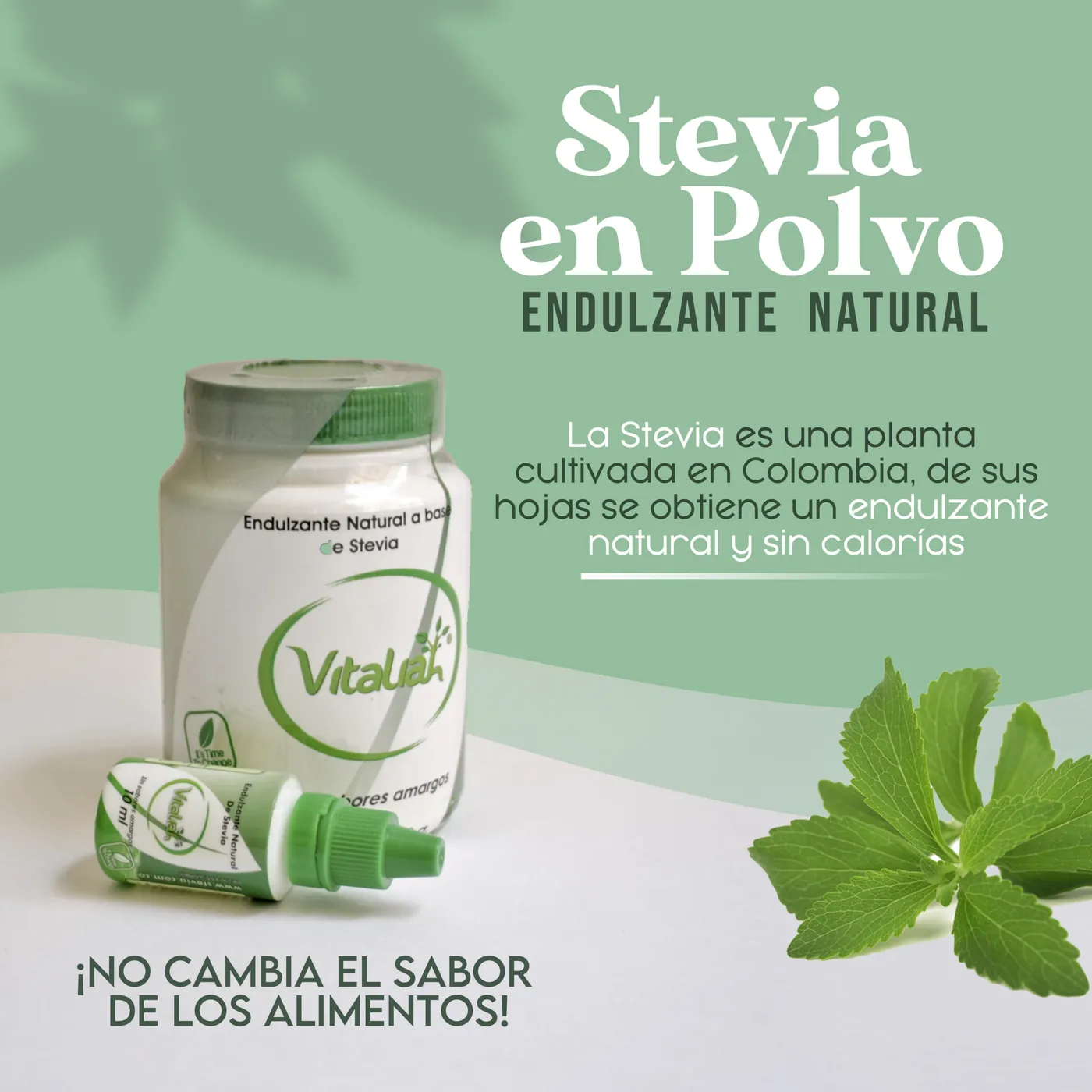 Galería Cibercompras Mercado Saludable - Foto 7