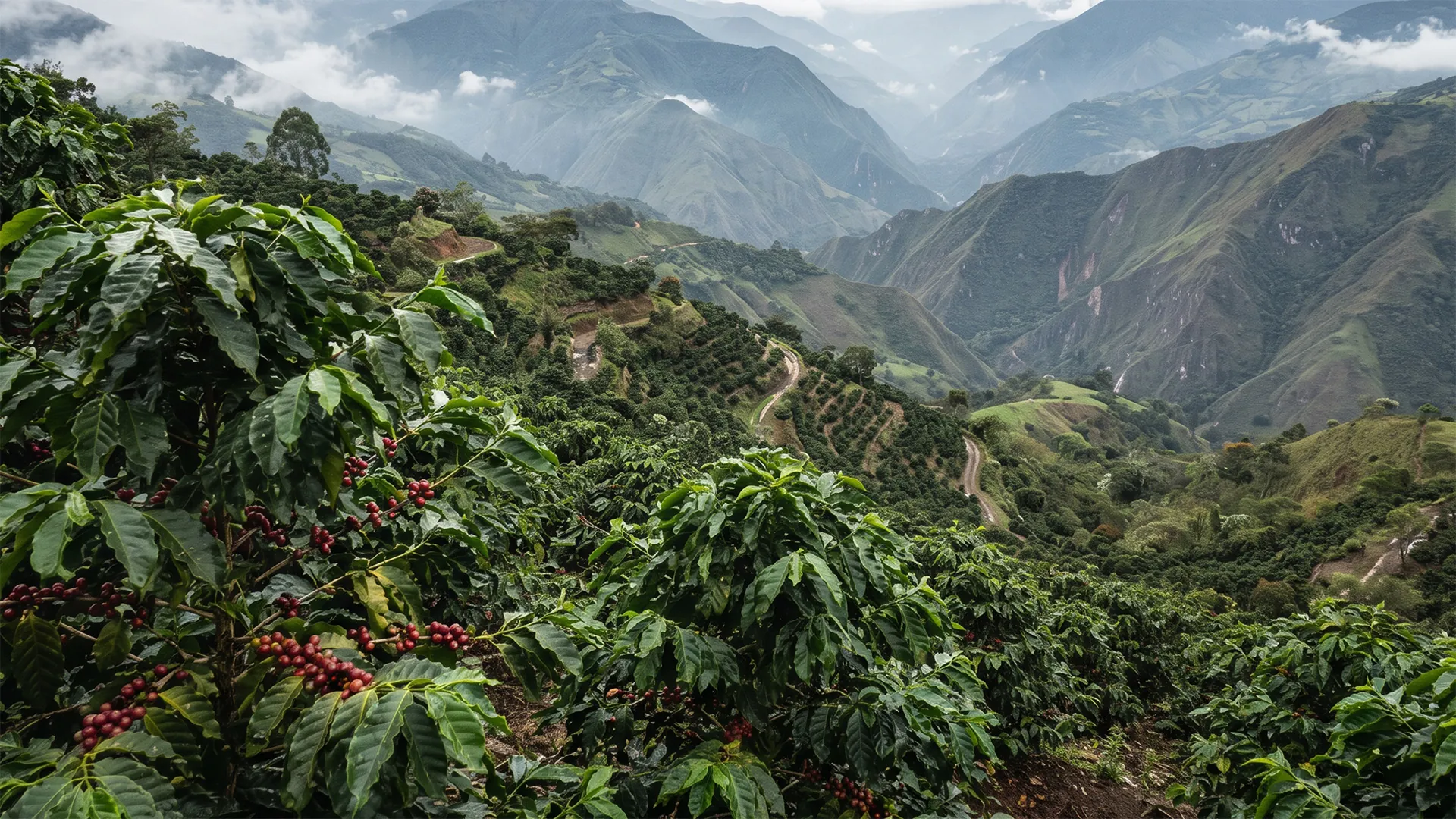 Foto de Cafemasú