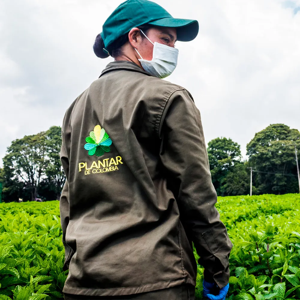 Galería Plantar de Colombia - Foto 3