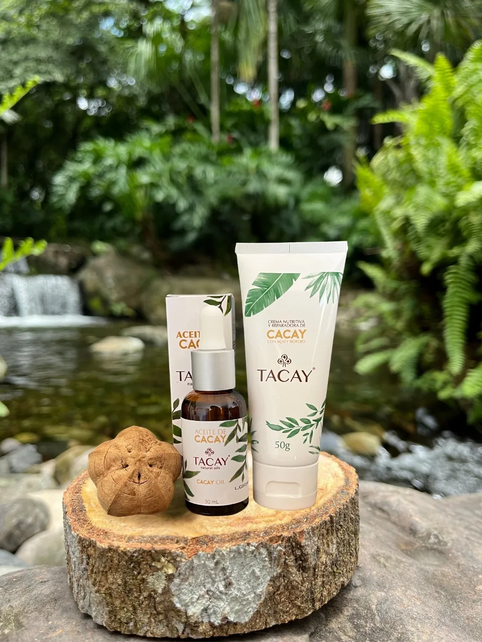 Galería Tacay Natural Oils - Foto 6