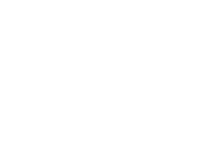 Dominio .bio