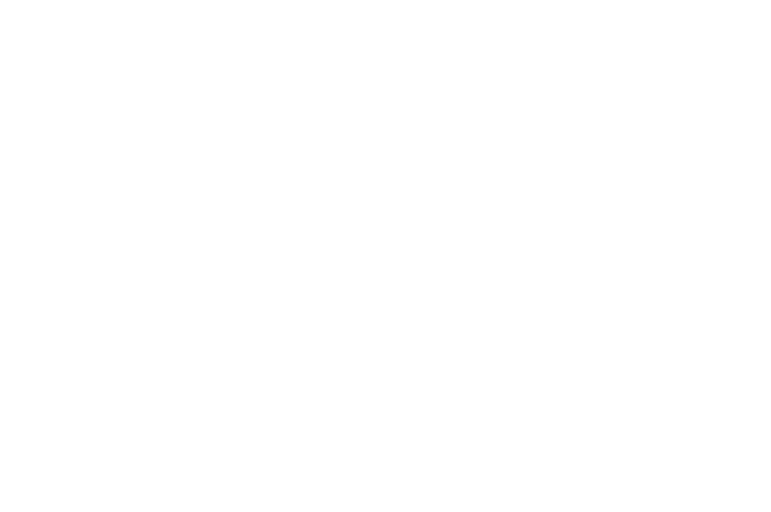 Dominio .io