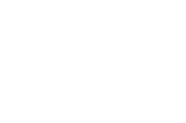 Dominio .us