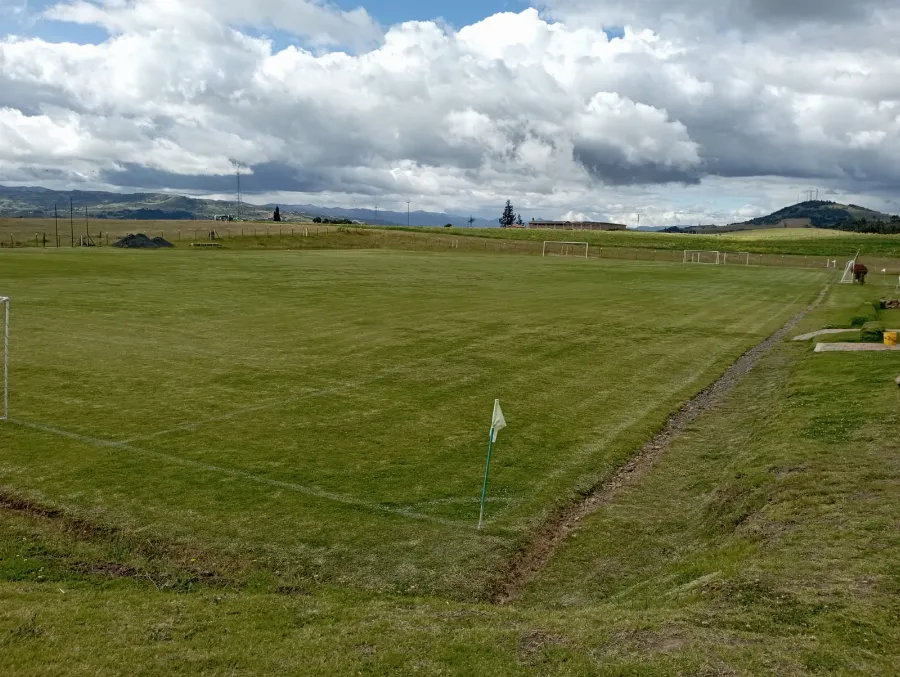 Alquiler de cancha de fútbol de grama natural