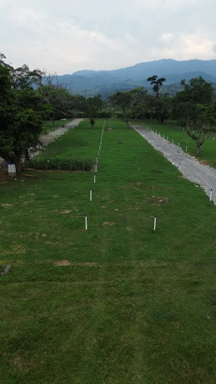 Lote 7×20 (140 m²) en Damasco 2da Etapa, Acacías