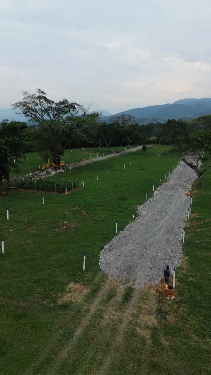 Visita guiada a los lotes con transporte desde Acacías
