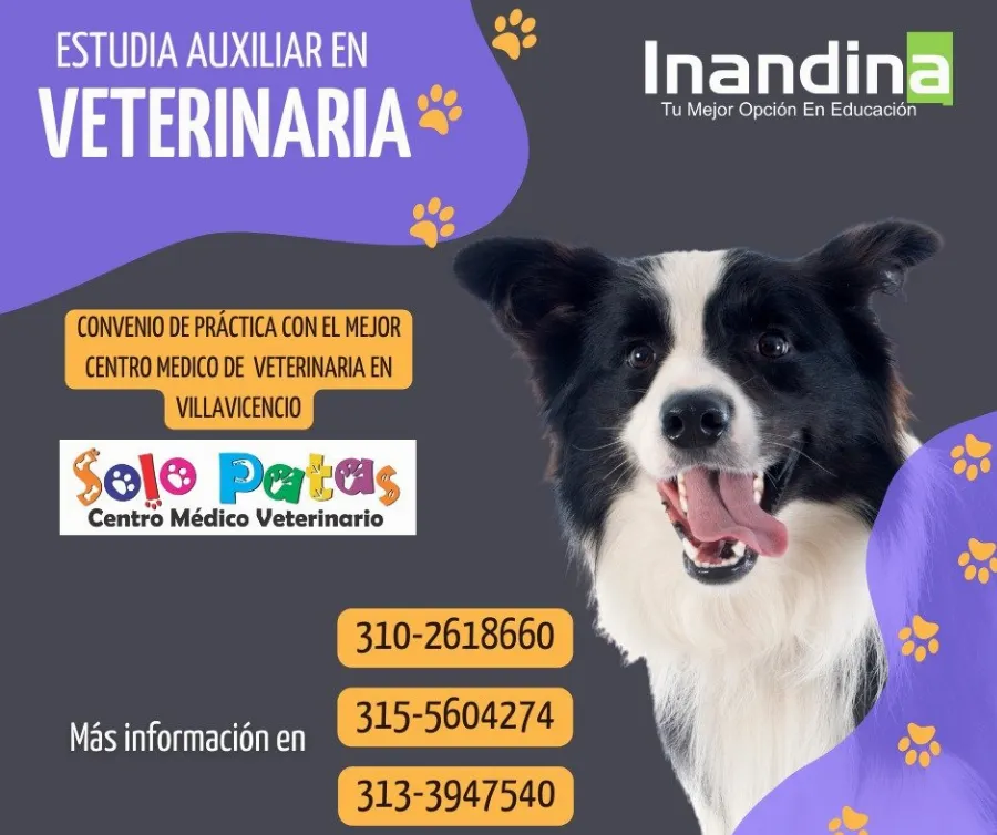 Asistente en Veterinaria Res: 053-13