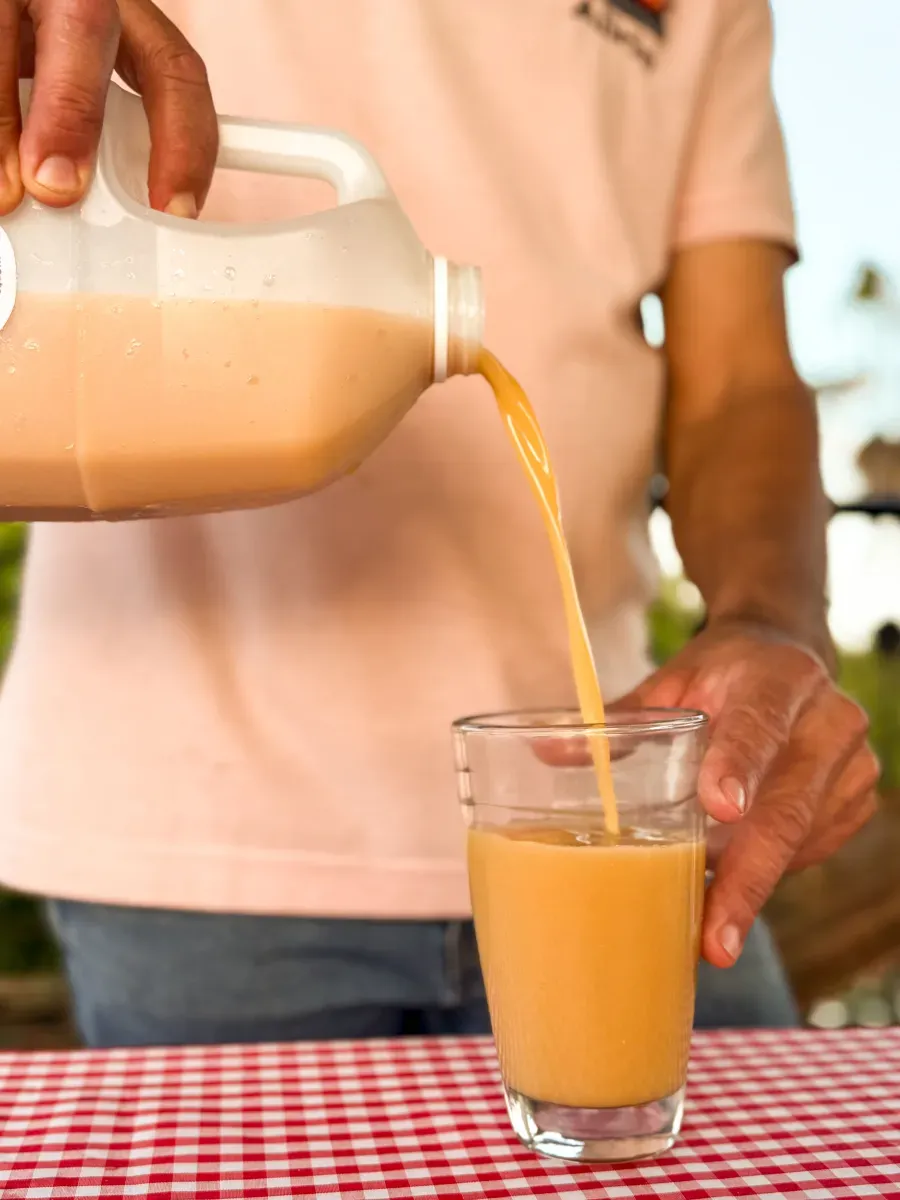 Chicha de maíz y mazato
