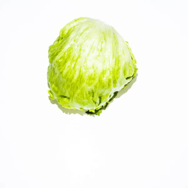 Lechuga